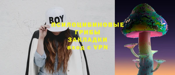 крисы Алексин