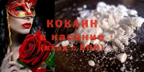 крисы Алексин