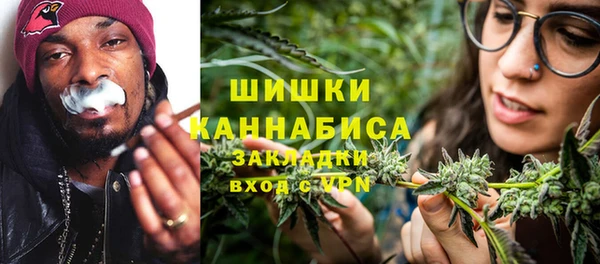 PSILOCYBIN Ельня