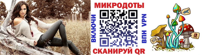 Галлюциногенные грибы мухоморы  Алзамай 